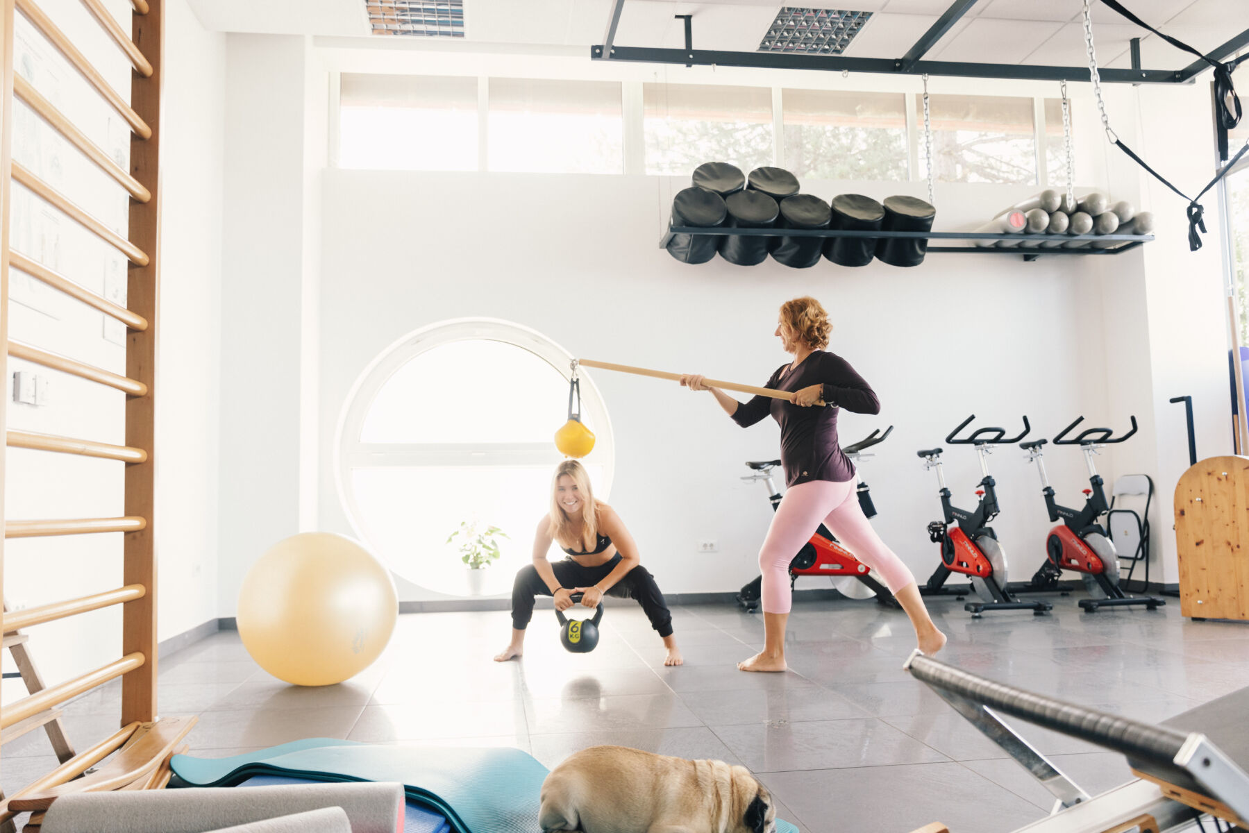 FITT MULC - TRANSFORMACIJA SKOZI FITNES - FittPlus